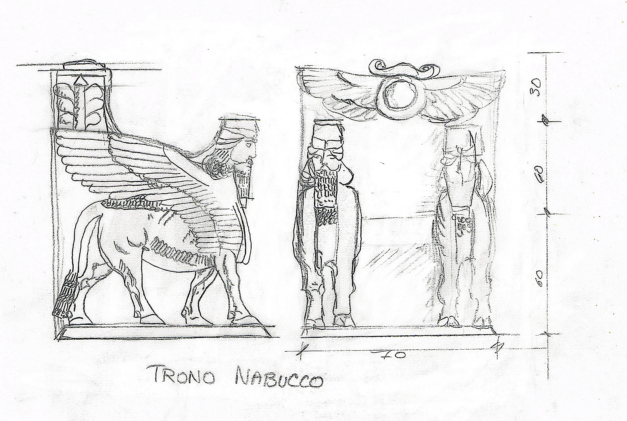 Croquis trone nabucco overgreen